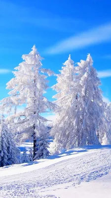 Картинки зима на заставку телефона (100 фото) | Зимняя фотография, Зимние  сцены, Обои для телефона