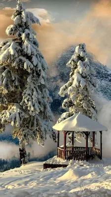 Картинки на заставку телефона зима - 68 фото