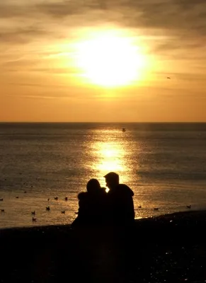 Куча молодых пар обнимаются на пляже в день любви День святого Валентина  Фон И картинка для бесплатной загрузки - Pngtree