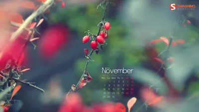 Desktop Wallpaper Calendar: November 2011 — Smashing Magazine