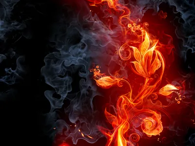 Обои цветок, дым, Огонь на рабочий стол