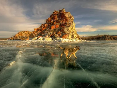 Озеро Байкал - творение природы, Россия - HD-фото, редкие фото, красивые  обои на рабочий столHD-фото, редкие фото, красивые обои на рабочий стол |  Mobile Version