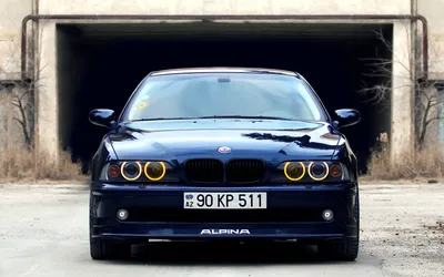 BMW 5 series Exclusive/Individual Избранное — BMW 5 series (E39), 2,5 л,  2003 года | фотография | DRIVE2