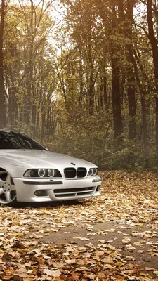 BMW 5 series (E39) 2.5 бензиновый 2001 | M-techта 🚀 на DRIVE2