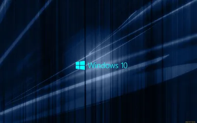7 фишек Windows 10: полезные скрытые функции и режимы | РБК Life