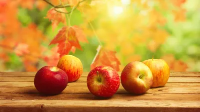 Яблоки на осеннем фоне - обои на рабочий стол