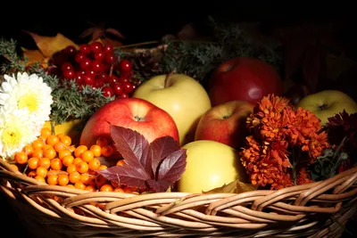 Яблоки и ягоды в корзине - обои для рабочего стола, картинки, фото
