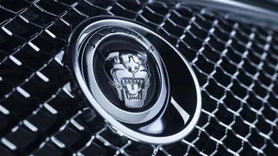 Обои Jaguar логотип, картинки - Обои для рабочего стола Jaguar логотип фото  из альбома: (бренды)