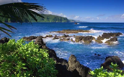 Бесплатные обои высокого качества для компьютера, телефона Android и  IPhone. На раб стол море пляж вот что я… | Landscape wallpaper, Beach  scenery, Hawaii landscape