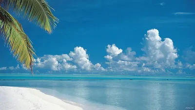 Обои 1920x1080 лето, картинки летняя природа, море Мальдивы, скачать