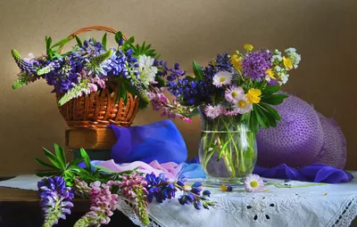 Обои цветок, лето, розовый, растение, лепесток - картинка на рабочий стол и  фото бесплатно