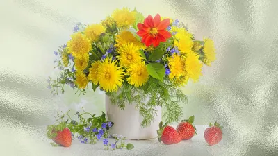 Обои цветы, лето, свежесть, нежность, лужайка картинки на рабочий стол,  фото скачать бесплатно