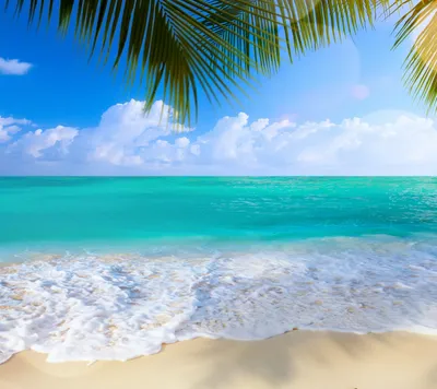 Обои берег, песок, море, океан, вода картинки на рабочий стол, фото скачать  бесплатно