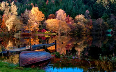 Картинки Лодка, природа, лес, пейзаж, озеро, дома, деревья, осень - обои  1680x1050, картинка №32997
