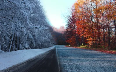 Картинка Зима Осень Природа Снег Дороги дерево 3840x2400