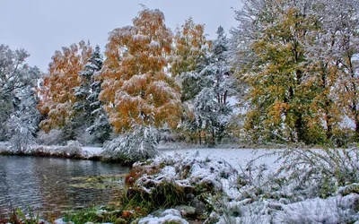 Осень зима (41 фото) - 41 фото