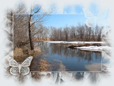 Обои река, лес, зима, иней, седина, свет, отражение, оранжевый картинки на рабочий  стол, фото скачать бесплатно
