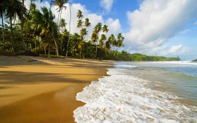 Скачать обои Paradise, Пляж, Море, Пальмы в разрешении 2560x1600 на рабочий  стол