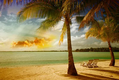 Обои пляж песок пальма небо облака океан рай тень на рабочий стол