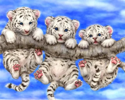 Тигрята - Картинка на телефон / Обои на рабочий стол №1374542
