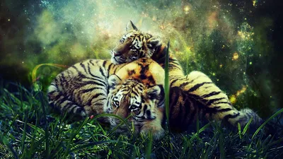 Милые тигрята - 65 фото