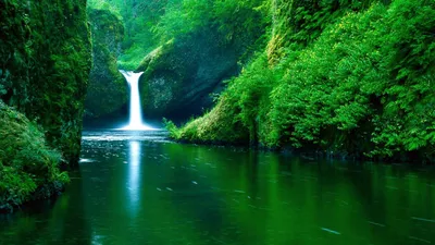 Реки, озера водопад, река, зелень фото, обои на рабочий стол