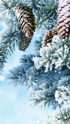 Картинки на смартфон зима фотографии