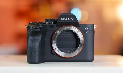 The most responsive Sony camera yet: Hands-on with the Sony Alpha 1:  Digital Photography Review