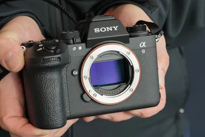 Which Photographer Is the Sony a7R V Intended For? A Critical Review |  Fstoppers