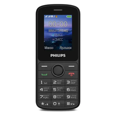 Мобильный телефон Philips Xenium E2101 Black, черный - купить по выгодной  цене в интернет-магазине OZON (812455189)
