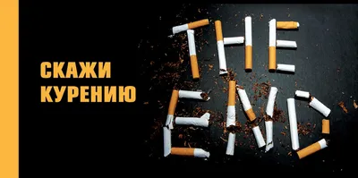 Все новости по теме борьба с курением - ГТРК Чувашия