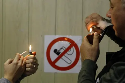 Страшные картинки на пачках сигарет – борьба за человека или с человеком? |  Sergo Inski | Дзен