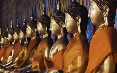 Буддизм и современная наука должны идти рука об руку, считает Далай-лама -  РИА Новости, 15.03.2021