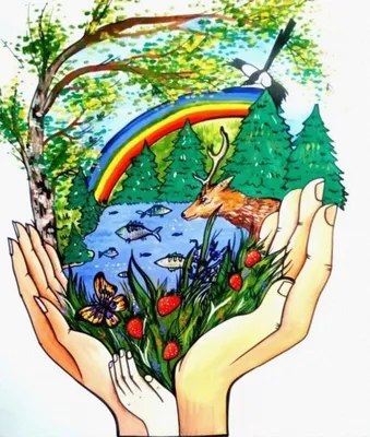 Дети Бобруйска и района рисовали на тему экологии (ФОТО) :: Бобруйск -  Образование