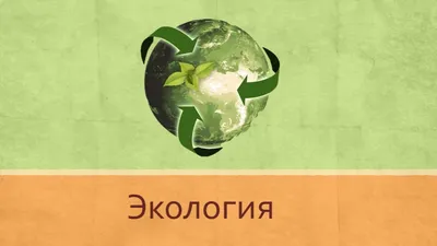 Предложения на перевод: экология - Multilingua blog