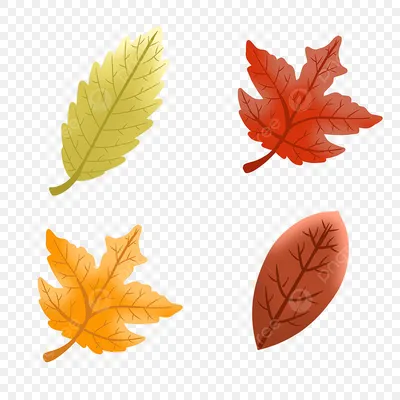 Осенние листья падают PNG , осень, лист, Листья PNG картинки и пнг PSD  рисунок для бесплатной загрузки
