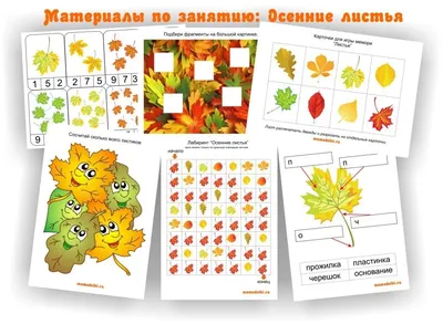 Набор осенние листья, овощи, фрукты, ягоды, и цветы для поделок и декораций  на тему осень (id 111618593), купить в Казахстане, цена на Satu.kz