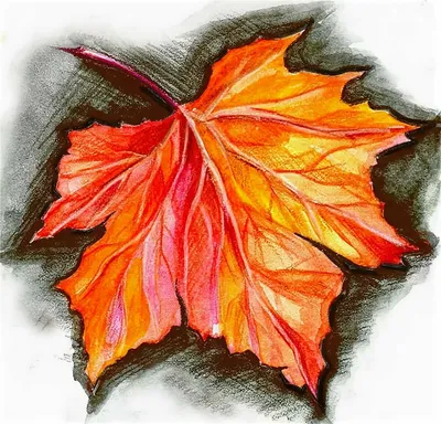 Рисунок на тему осенние листья - 49 фото