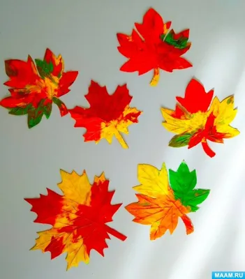 Раскраска Осенние листья | Hojas para colorear, Hojas para imprimir,  Plantillas para flores de papel