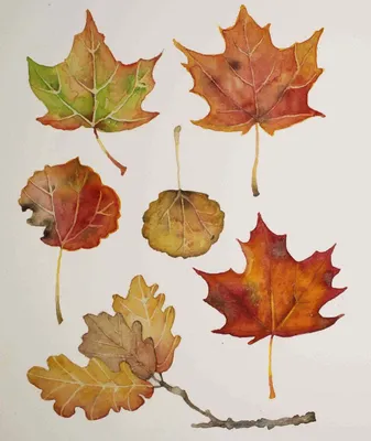 Тематическое занятие: Осенние листья (часть 2) | mamadelkimamadelki