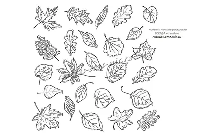 Осень Осенние Листья Красочный - Бесплатное фото на Pixabay - Pixabay