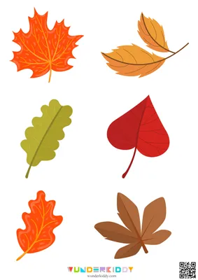 Рисунок на тему осенние листья (49 фото) » рисунки для срисовки на  Газ-квас.ком