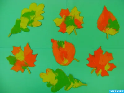 Красивые осенние листья в шляпе на цветном фоне :: Стоковая фотография ::  Pixel-Shot Studio