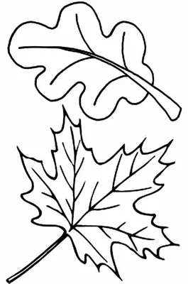 украшение осенней темы желтые осенние листья различных деревьев Стоковое  Фото - изображение насчитывающей экземпляр, космос: 229637530