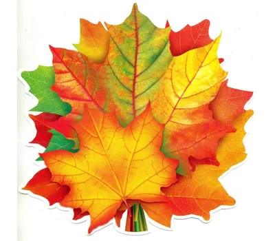 Листья осенние рисунок - 53 фото