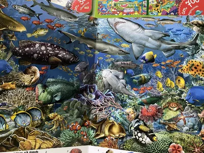 Картины на холсте на тему Подводный мир в магазине Арт-Рум