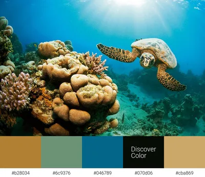 Милый Подводный Мир — стоковая векторная графика и другие изображения на  тему Животное - Животное, Море, Рыба - iStock