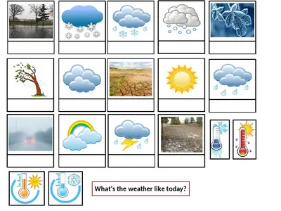 Weather Forecast – проект по английскому языку | Grammar-tei.com