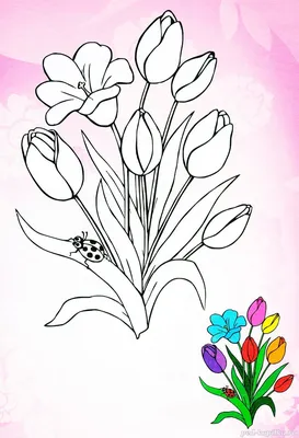 пурпурские белые цветы фото на тему природы Стоковое Фото - изображение  насчитывающей флора, сад: 219847368