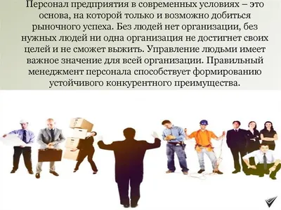 18 февраля стартует открытый тренинг Надежды Шумской на тему «Система управления  персоналом на основе жизненного цикла сотрудника». В ходе… | Instagram
